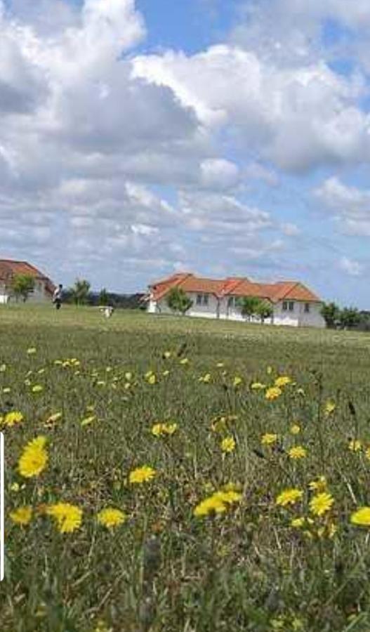 Ferienapartment Wiese & Meer Auf Ruegen Neddesitz Dış mekan fotoğraf